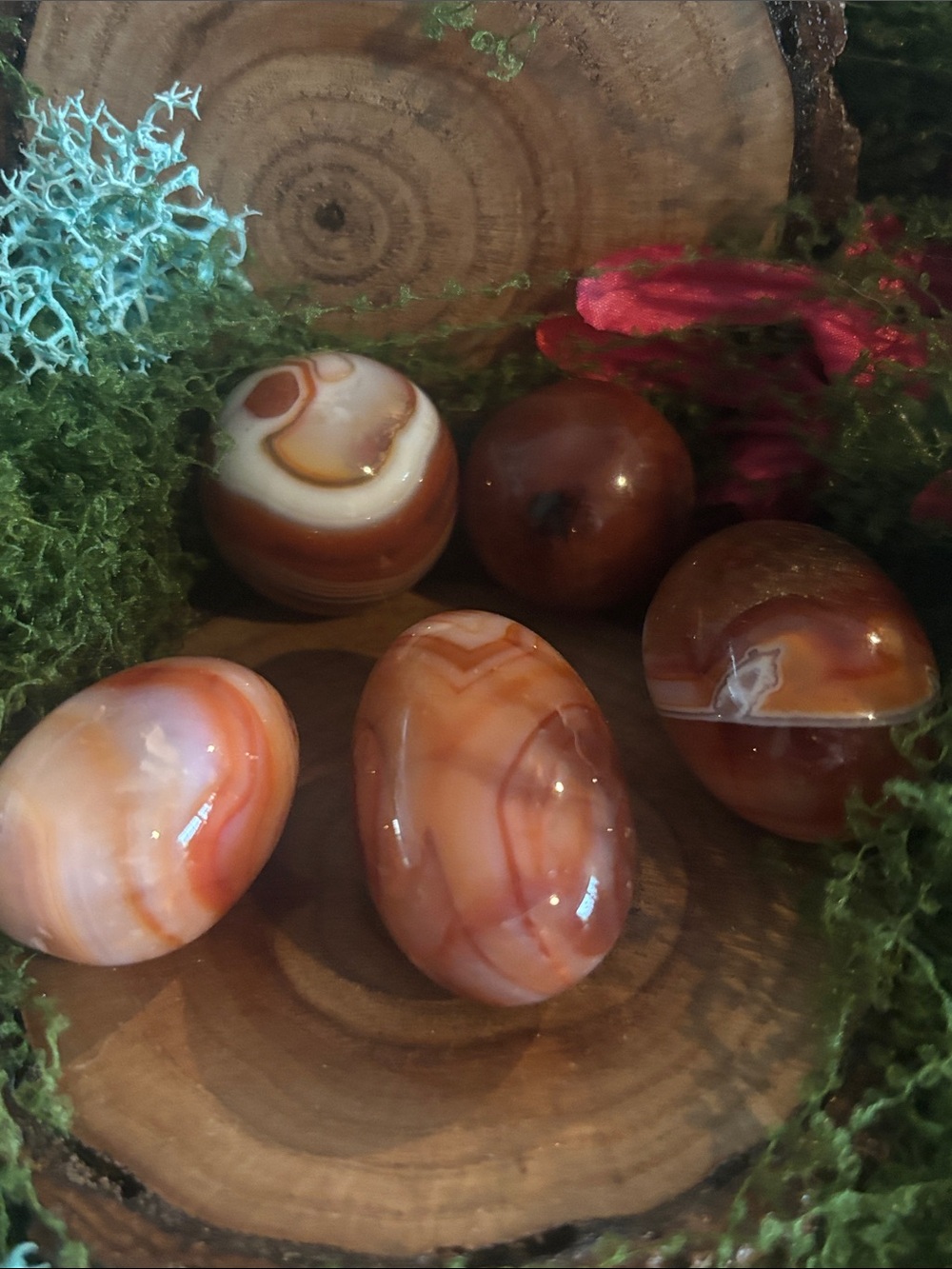 Polished Carnelian Agate Palm Stones - Set of 5